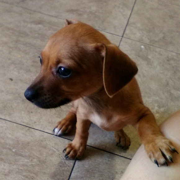 marliebt